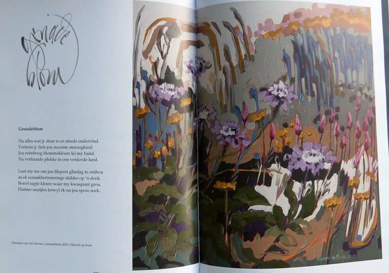 SPORE IN DIE STOF by Anton Coetzer
