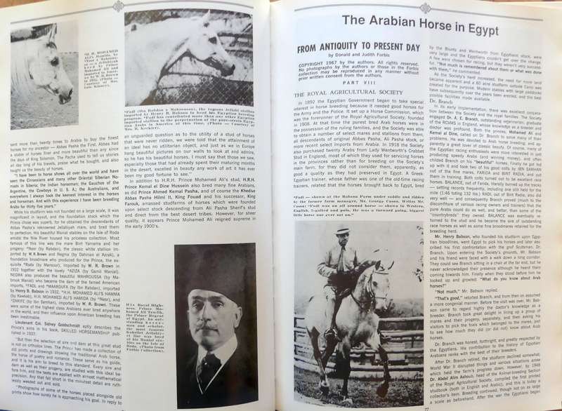 Authentic Arabian Bloodstock: A Guide, Historical Articles, and Racing Records  by Judith Forbes