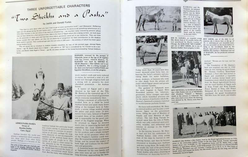 Authentic Arabian Bloodstock: A Guide, Historical Articles, and Racing Records  by Judith Forbes