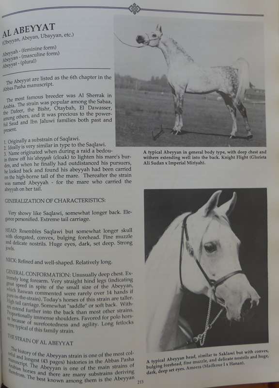 Authentic Arabian Bloodstock: A Guide, Historical Articles, and Racing Records  by Judith Forbes