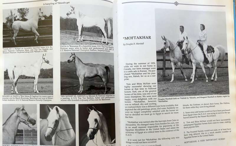 Authentic Arabian Bloodstock: A Guide, Historical Articles, and Racing Records  by Judith Forbes