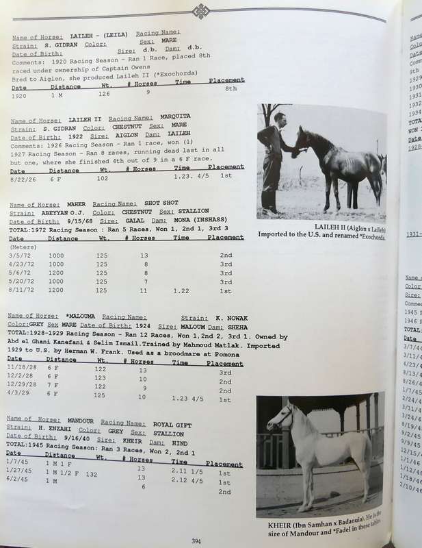 Authentic Arabian Bloodstock: A Guide, Historical Articles, and Racing Records  by Judith Forbes