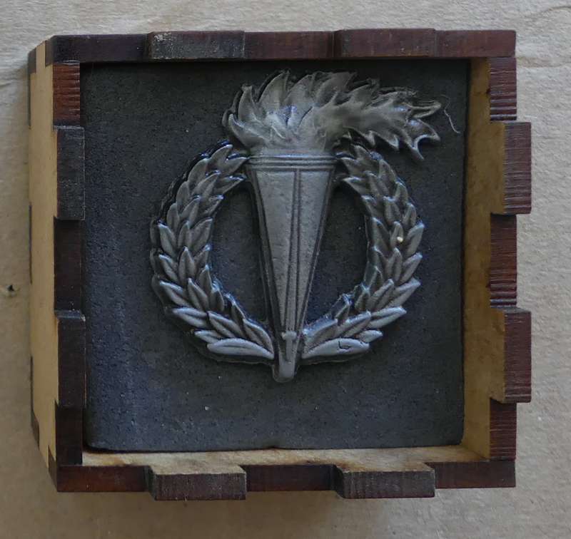 Set of 2 SANDF Pathfinder Proficiency badges  - No PF209 Full & Mini Size