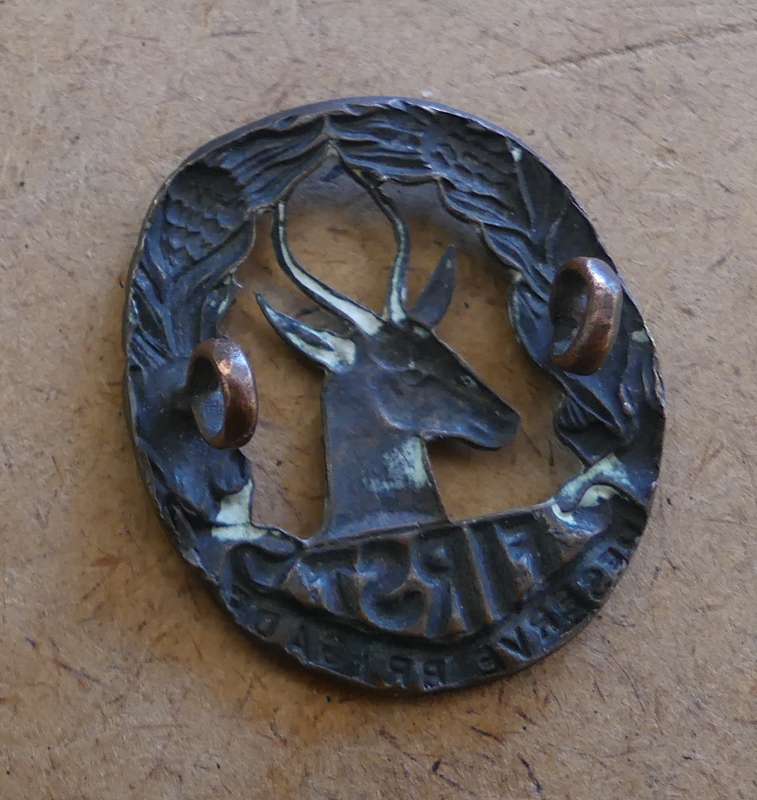 SADF - First Reserve Brigade Cap Badge