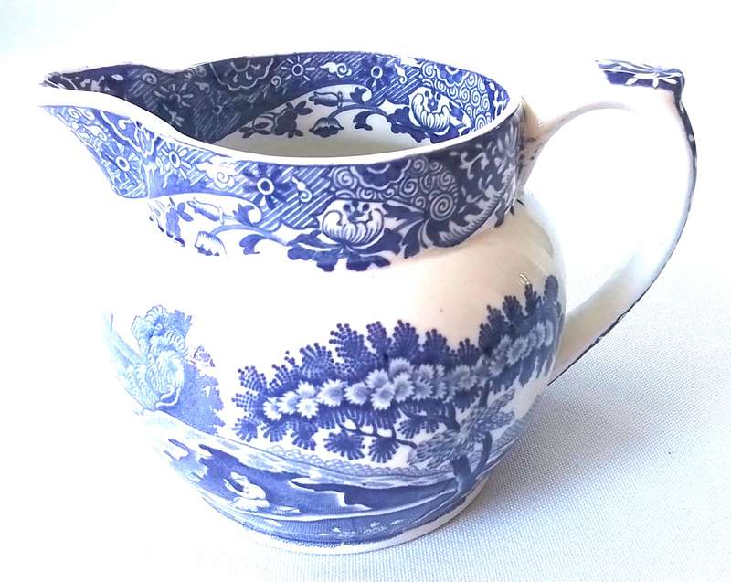 SPODE'S  -  Italian  Design   -   Jug