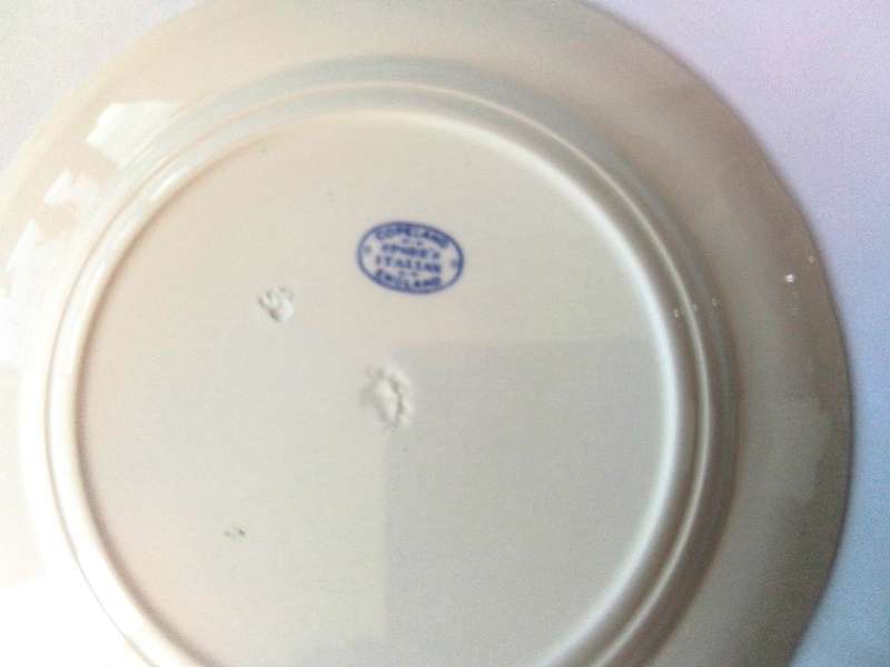 Copeland  Spode's  -  Italian Design  -   Breakfast  Plate