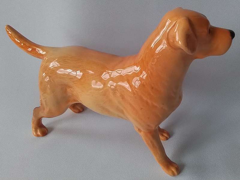 Beswick  -  Vintage  porcelain  -  Labrador  Dog  Figure