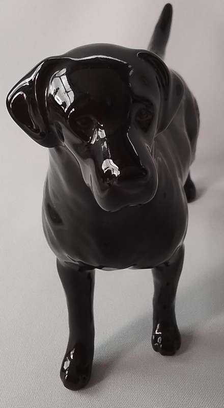 Beswick  -  Vintage porcelain  -  Labrador  Dog  Figure