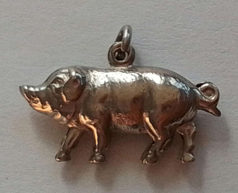 Silver  Charm