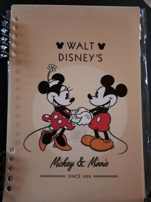 Notebook Mickey and Minnie