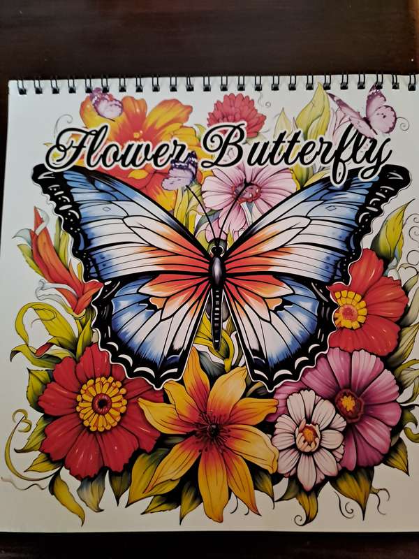 Colouring Book Flower Butterfly