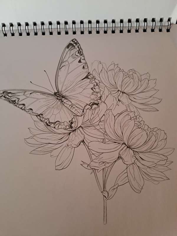 Colouring Book Flower Butterfly