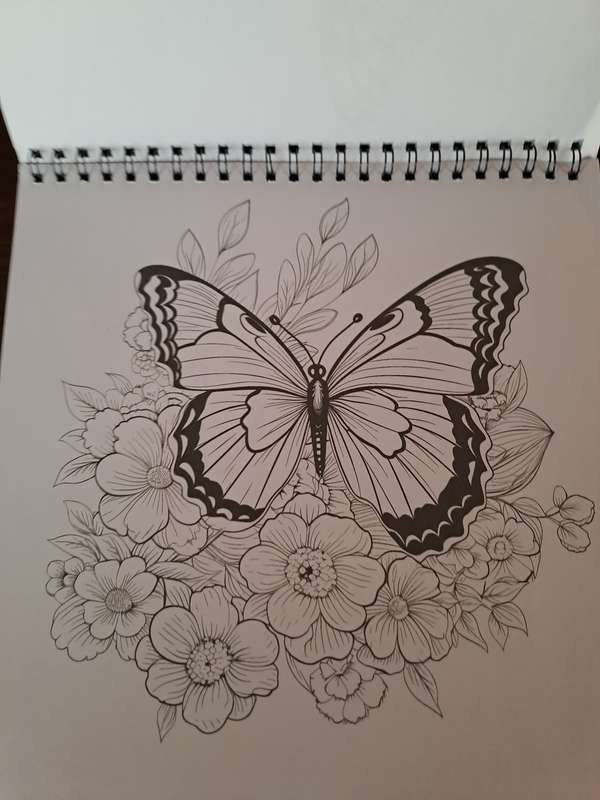 Colouring Book Flower Butterfly
