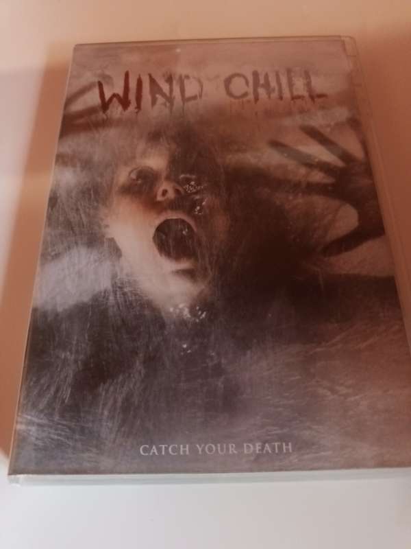 Wind Chill DVD Movie