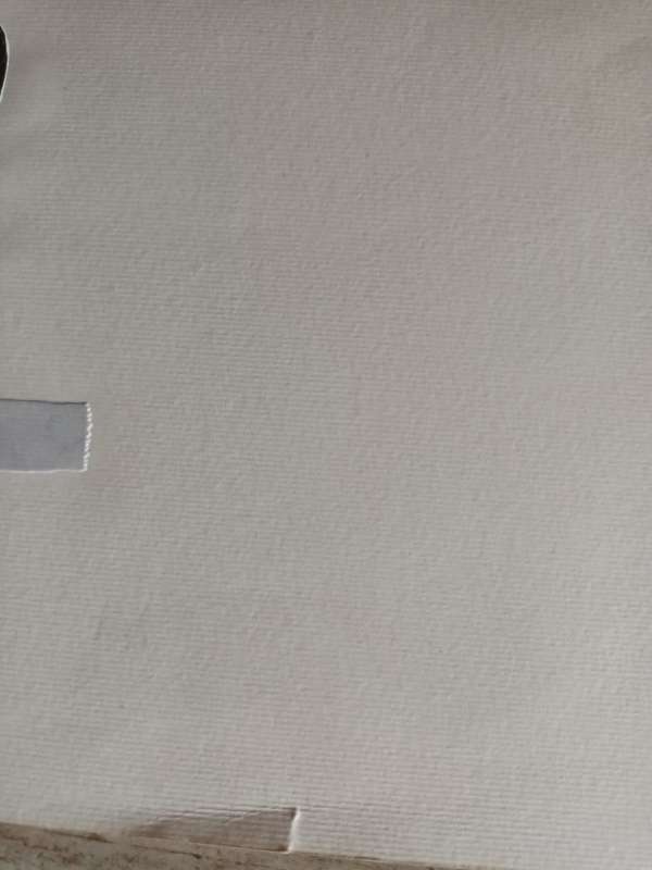 Artwork on Paper Canvass
