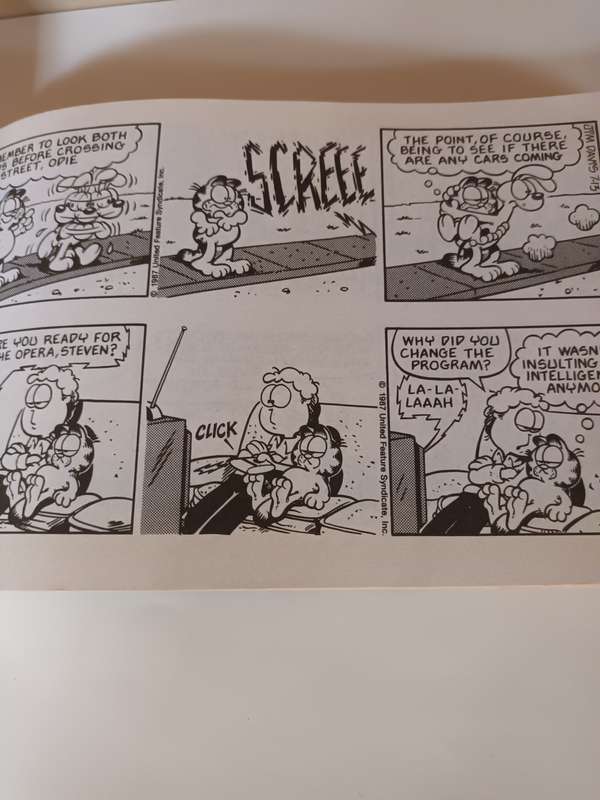 Garfield Special Edition 1978 - 1998