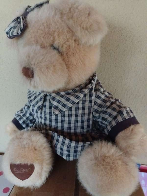 Gorgeous 'Rosy Bears' Teddy Bear
