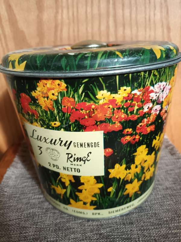 Vintage Bilingual Three Rings Buiscut Tin