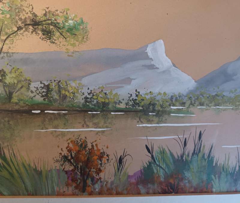 Framed Watercolour Painting of Zeekoe Vlei
