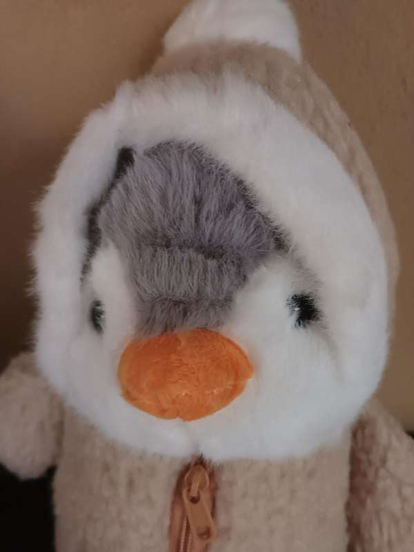 Cute Penquin Soft Toy in Warm Clothing