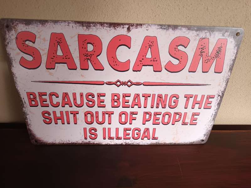 Funny Tinplate Wall Hanging Sign - Sarcasm