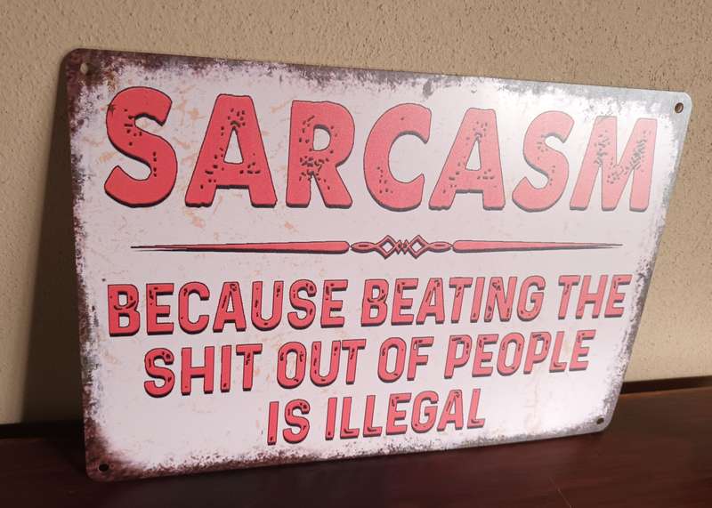 Funny Tinplate Wall Hanging Sign - Sarcasm