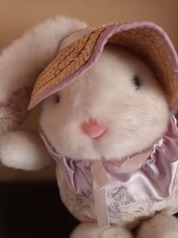 Nice Size Bunny Soft Toy