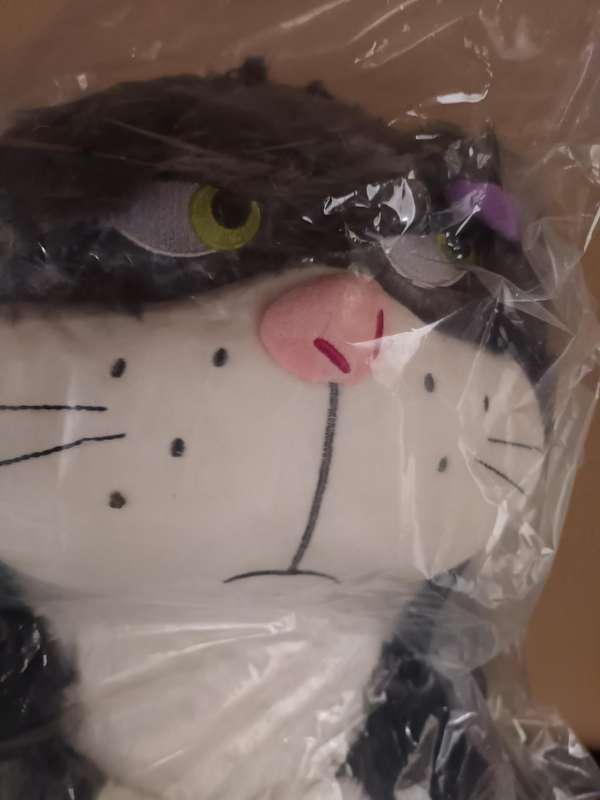 A Large Cuddly Cat Soft Toy