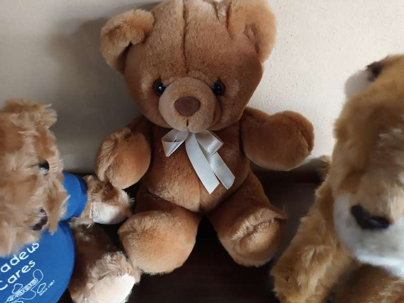 Trio of Quality Cuddly Soft Toys
