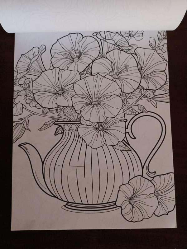 Flowers Colouring Book