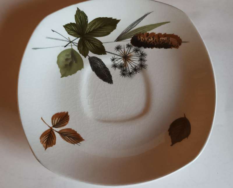 Vintage Midwinter Saucer
