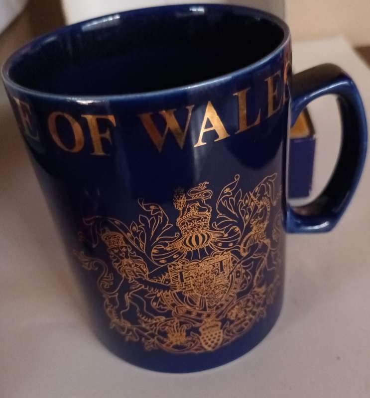 Boxed Prince of Wales Caernarvon Castle Mug