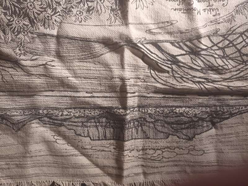 Cotton Cloth with Print of Table Mounrain