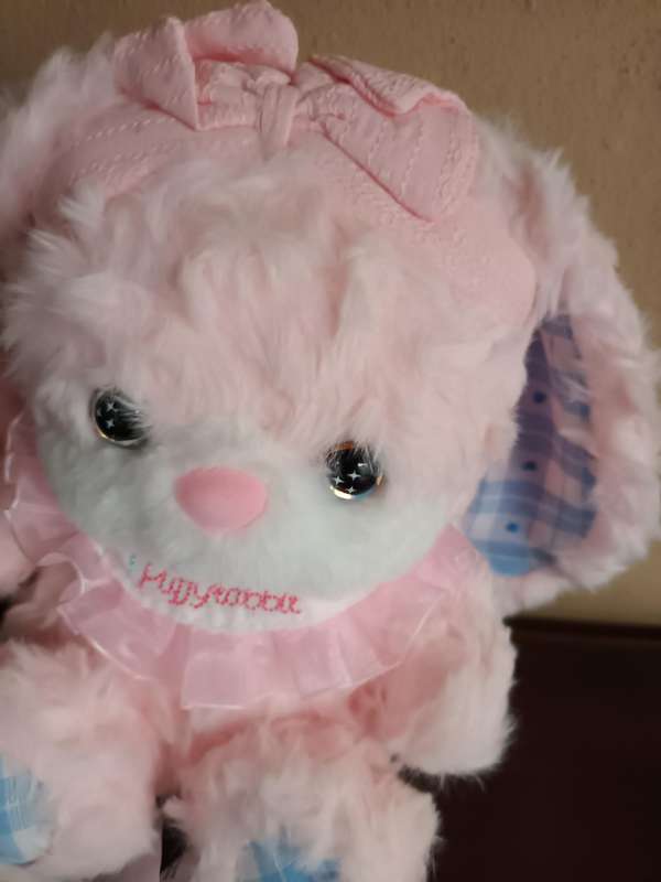 Fluffy Rabbit Soft Toy in Soft Tones
