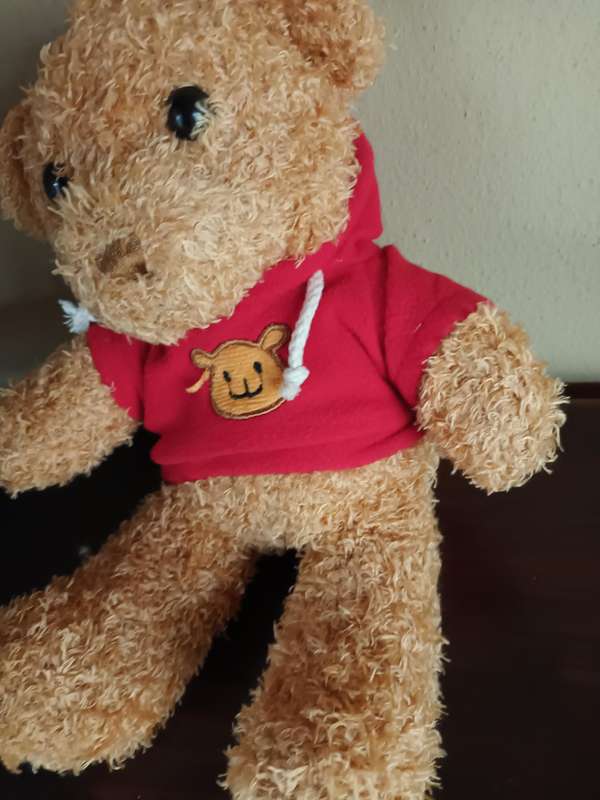 Teddy with Red Sweater