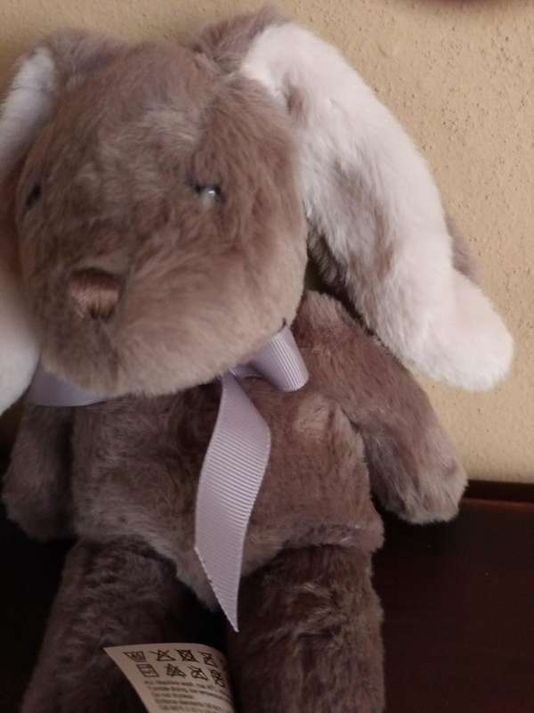 Cuddly Bunny Soft Toy