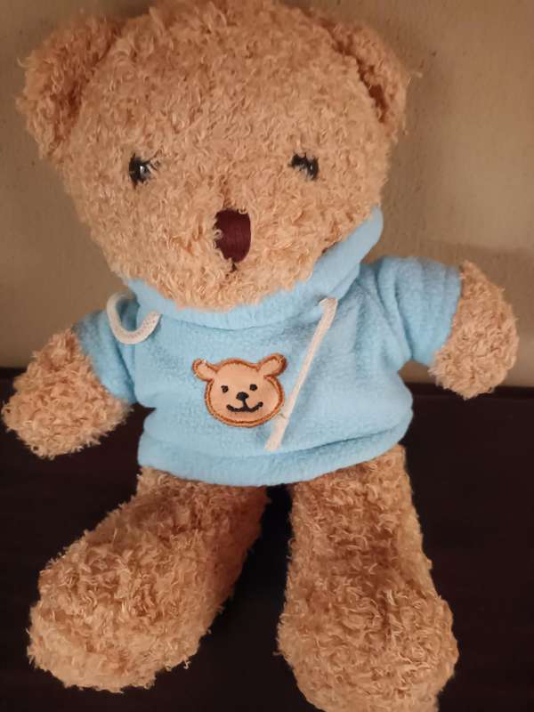 Teddy Wearing Sweater