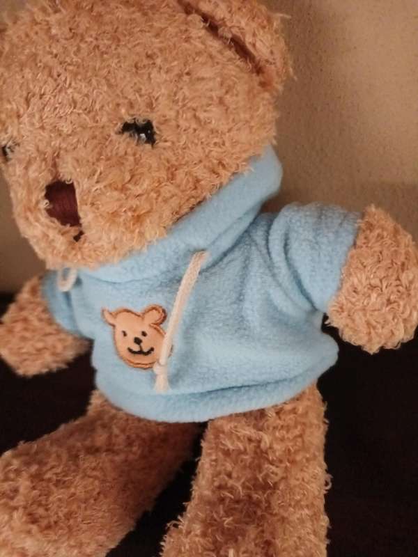 Teddy Wearing Sweater