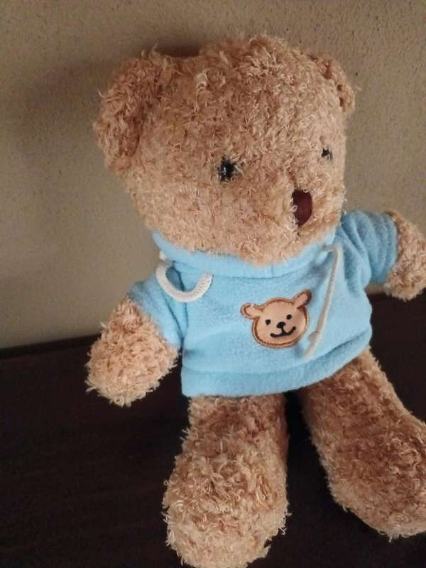 Teddy Wearing Sweater