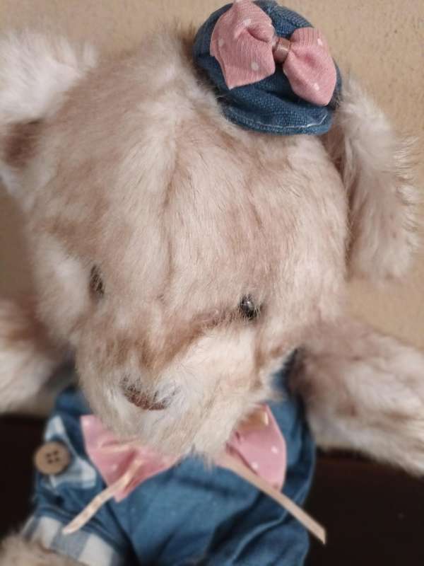 Adorable Teddy from Miammian Family
