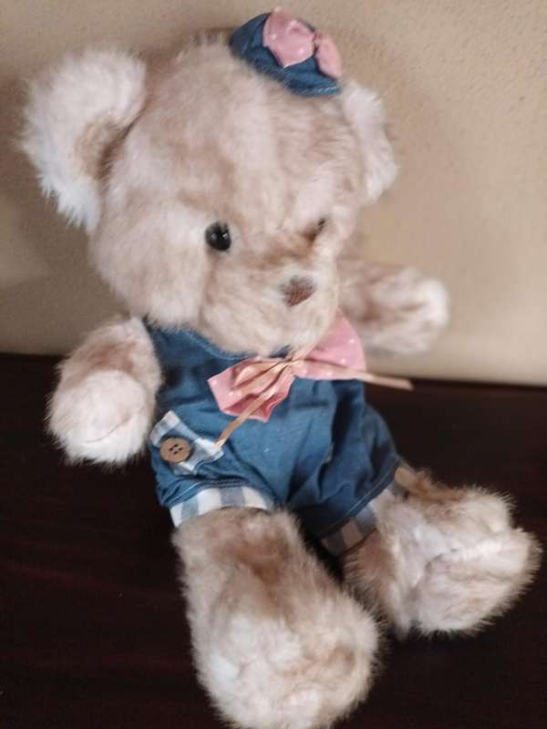 Adorable Teddy from Miammian Family
