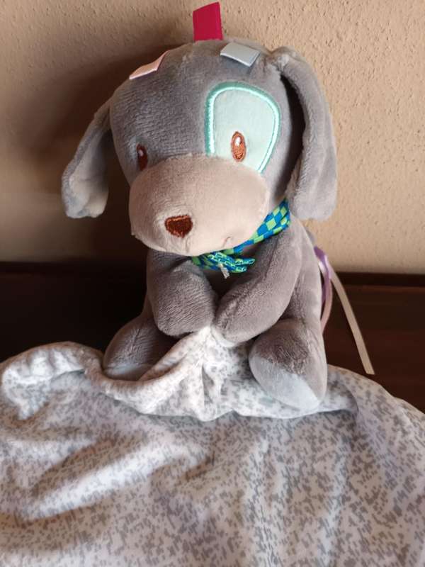 Small Doggy Soft Toy with Blanket