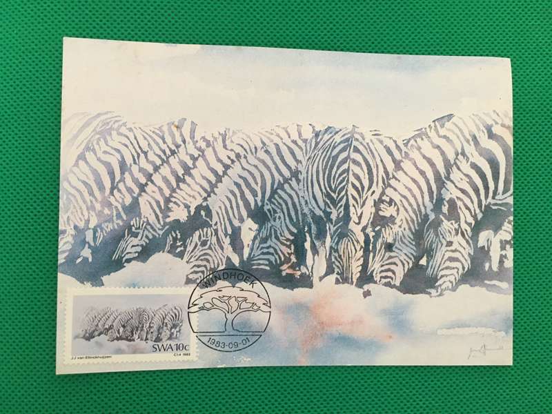 NAMIBIA SWA - FIRST DAY POSTCARD - 1983 - MOUNTAIN ZEBRA