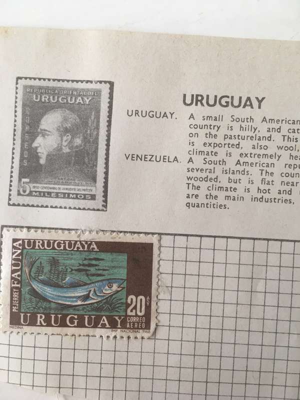 URUGUAY  1 MOUNTED STAMP