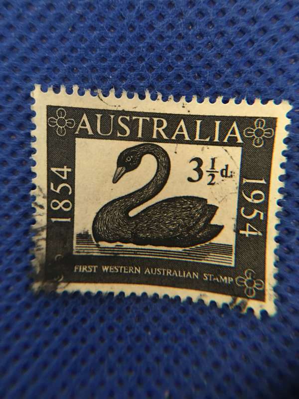 AUSTRALIA USED SWAN STAMP - 1954