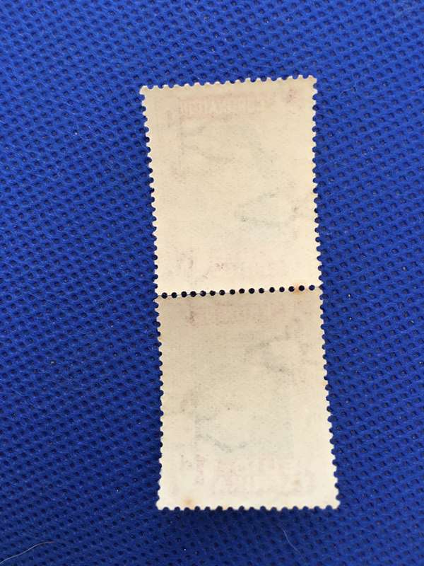 SOUTH AFRICA UNUSED PAIR KING GEORGE PAIR OF STAMPS