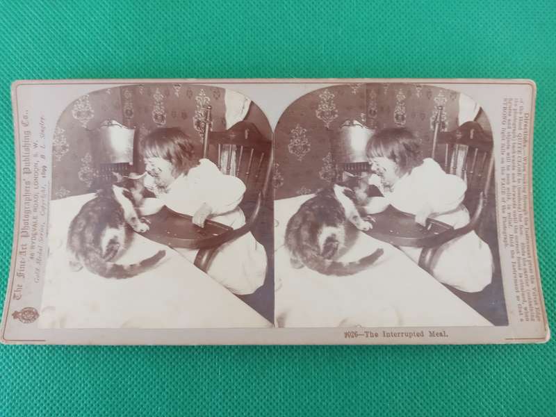 VICTORIAN STEREO SCOPE CARD