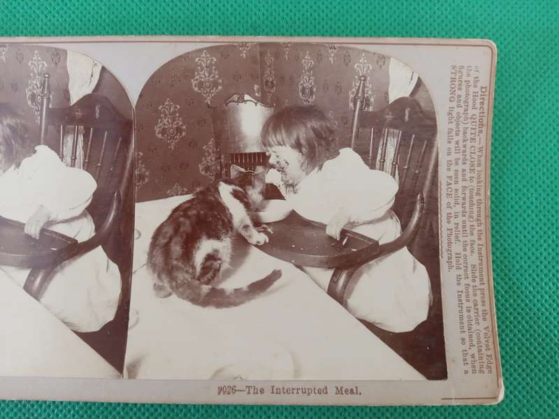 VICTORIAN STEREO SCOPE CARD