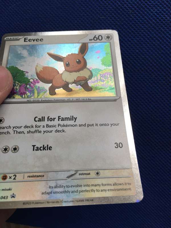 POKEMON TRADING CARD - FOIL CARD - SHINY CARD - EEVEE