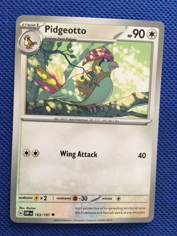 POKEMON TRADING CARD - PIDGEOTTO